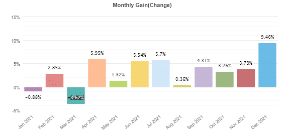 Monthly returns in 2021